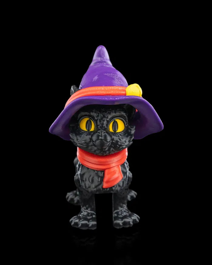 Cat in a hat