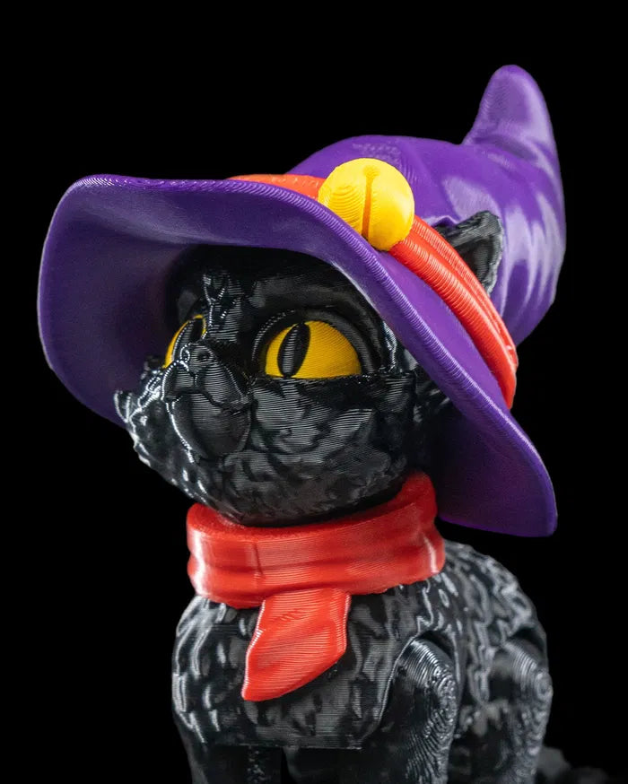 Cat in a hat