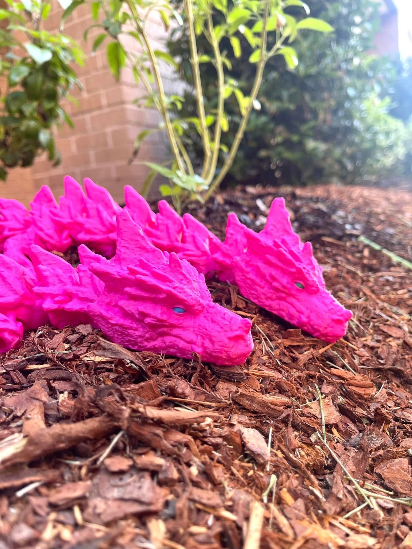 Baby Rock Dragon – A Tiny Guardian in the Making